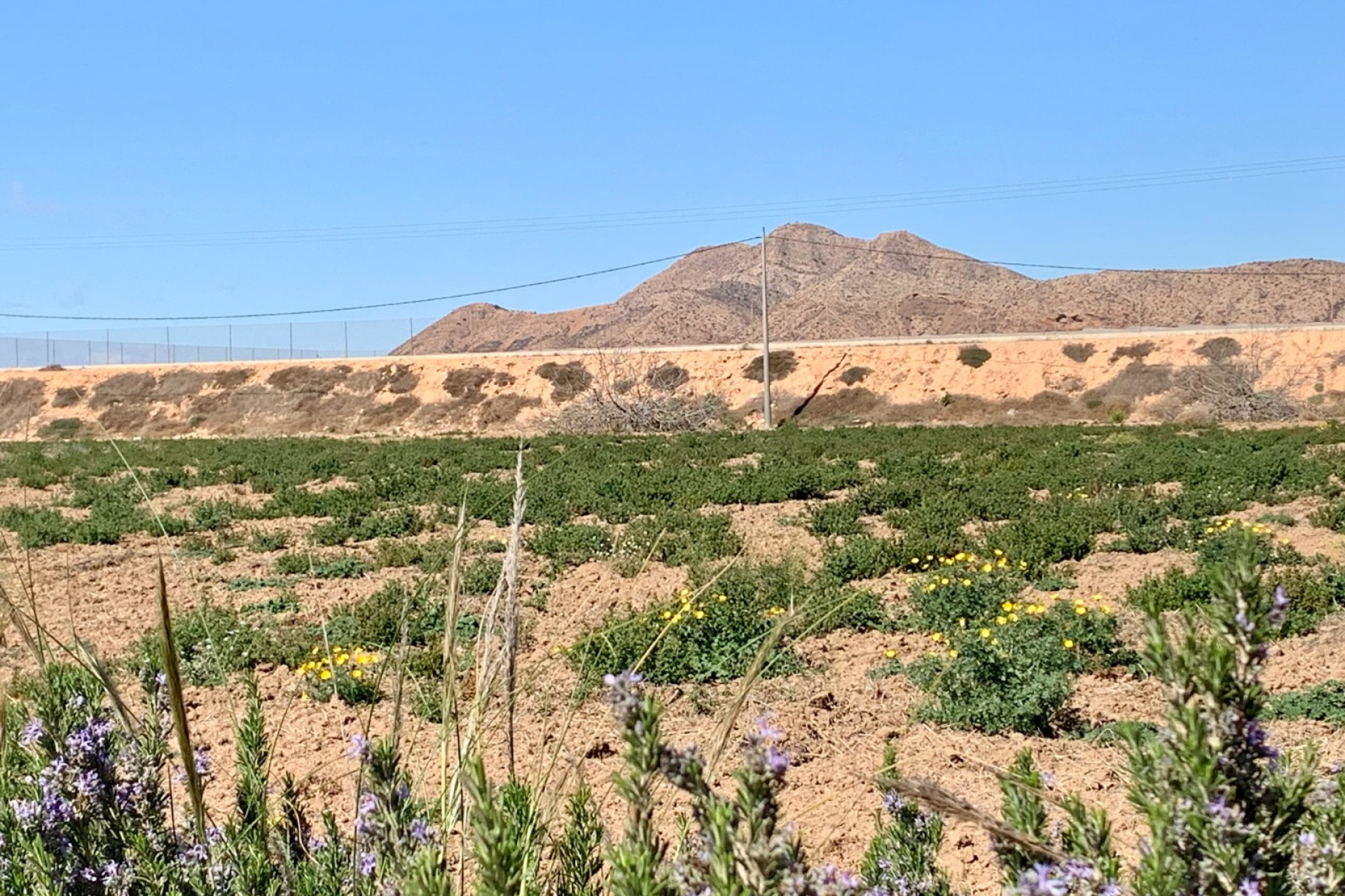 Nouvelle construction - Terraced Villa - Dolores de Pacheco - Costa Calida